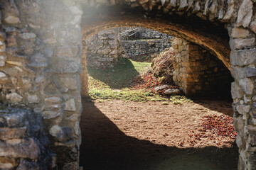 Fototapeta premium Blick in die Burg