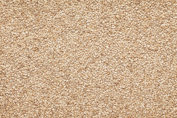 Seasame Seeds Pattern