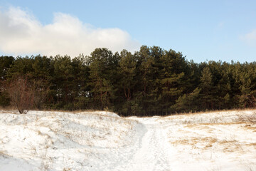 winter landscape in the snow.