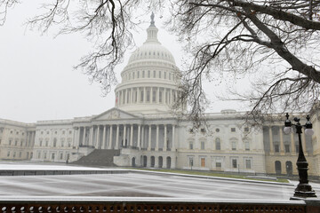 US Capitol Building in the blizzard
