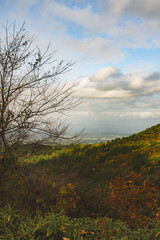 Obraz premium Hakoda mountain and Jogakura bridge view in Japan, famous travel destinations in autumn and fall season. Color of nature, season and leaf. An aerial view of maple tree, fantasy landscaped discovery.