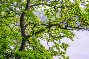 Obraz premium Lac du Lampy is an artificial lake located in the Aude department, in the Occitanie region, in the south of France. This lake supplies water to the Canal du Midi in a magnificent natural environment, 