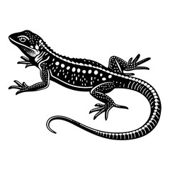 silhouette of lizard