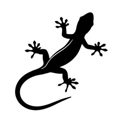silhouette of lizard