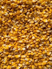Close-up of yellow corn kernels nutritional benefits in agriculture photography