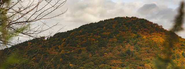 Hakoda mountain and Jogakura bridge view in Japan, famous travel destinations in autumn and fall season. Color of nature, season and leaf. An aerial view of maple tree, fantasy landscaped discovery.
