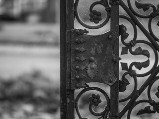vintage and old fence of garden