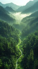 Fototapeta premium Scenic foggy mountain valley.