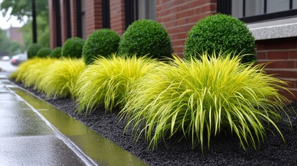 Lush plants and grasses flourish on a green roof, promoting urban sustainability and enhancing ecological balance