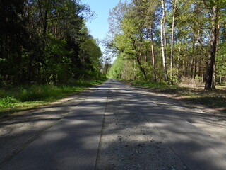 stara betonowa droga  © Maciej