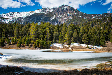 Spring thaw along the Beaver Ponds trail, Yellowstone National Park