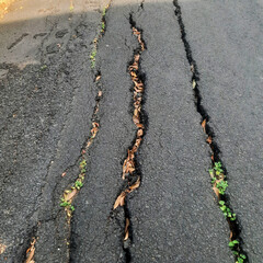 Earthquake - destruction of road cracks