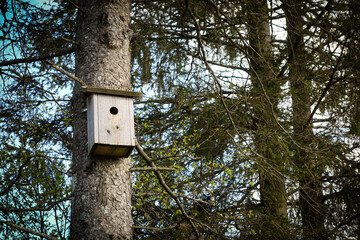 bird house on tree