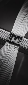 Close-up of a black and white cable connection, symbolizing data transfer in modern technology.