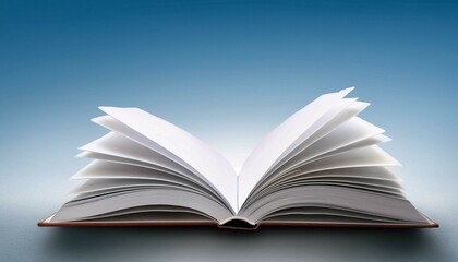 Fototapeta premium open book on sky background