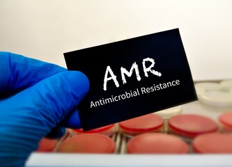 AMR or Antimicrobial Resistance term in a card on doctor hand with microbiology laboratory background.