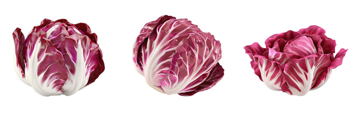 Obraz premium 3d render radicchio isolated on transparent background Cartoon Illustration in plastic style
