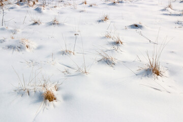 White snowdrifts with brown grass on a forest path in winter