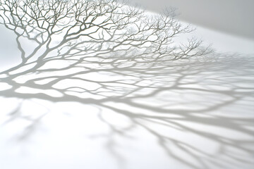 Tranquil Dance of Tree Shadows: Nature's Patterns on a White Canvas