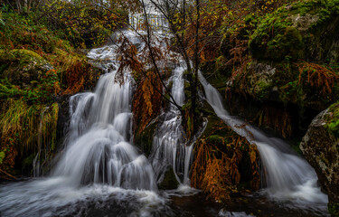 Obraz premium waterfall in the forest