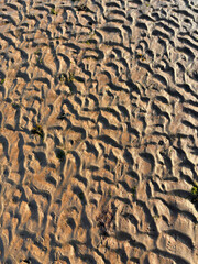 Background of Ocean floor during low tide showing ripples in the sand made by the waves