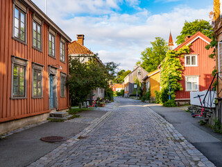 Naklejka premium norway