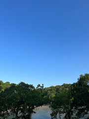 Fototapeta premium landscape with sky