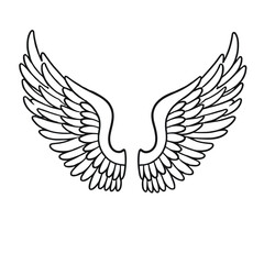 Vector outline wings on white background