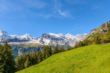 Fototapeta premium The Swiss Alps at Murren, Switzerland. Jungfrau Region. The valley of Lauterbrunnen from Interlaken.