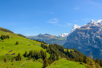 Fototapeta premium View of beautiful landscape in the Alps with fresh green meadows and snow-capped mountain tops in the background on a sunny day with blue sky and clouds in springtime.