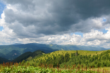 Lush green mountain landscape stretches beneath a dramatic sky with dark clouds, evoking feelings of tranquility and awe. Ideal for nature and travel themes. Carpathian Mountains, Ukraine