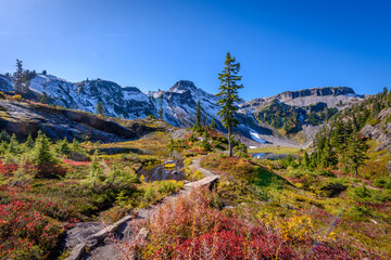 Fragment of a trail in Mount Baker Visitor Center, WA, USA.