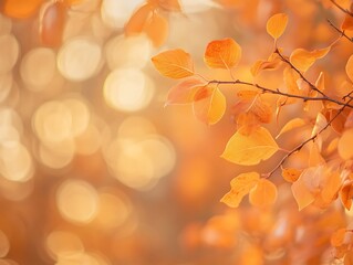 Obraz premium Abstract autumn leaves with glowing light and soft focus, creating a warm and dreamy atmosphere, perfect for seasonal backgrounds, fall-inspired designs, and nature artwork.