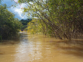 Amazonia