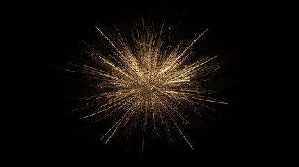 Fototapeta premium golden glowing fireworks in the night sky