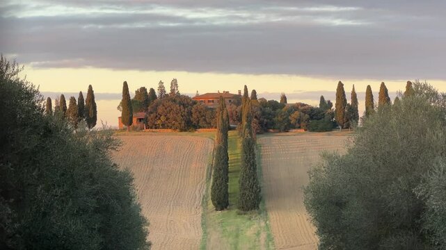 Tuscany, Italy - November 25, 2024: Tuscan countryside near San Quirico d'Orcia and Pienza. Row of Tuscan cypress trees leading to a rustic hilltop farmhouse in the scenic countryside landscape.
