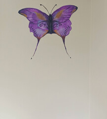 Purple butterfly on the wall of an abandoned house in a children's room