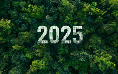 2025 New Year Green business planning and development for sustainable environmental development goals. Saving the environment, environmental sustainability concept. Drone top view. Generative AI
