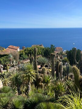 Ils Saint Margarete Kakteen Garten 6