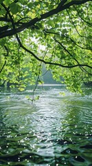 Naklejka premium Lush green forest canopy with dappled sunlight reflected in the calm serene waters of a picturesque lake The vibrant verdant foliage and natural beauty create a peaceful idyllic landscape