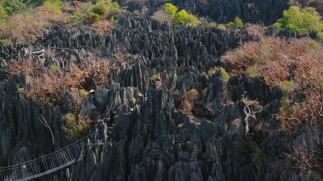 Backpacker girl traverses a bridge over the sharp pinnacles of Tsingy de Bemaraha National Park in Madagascar, highlighting the park's remarkable rock formations and stunning vistas