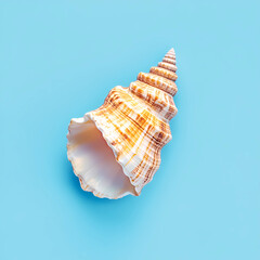 Obraz premium Marine Calm: Seashell on a Sky Blue Background