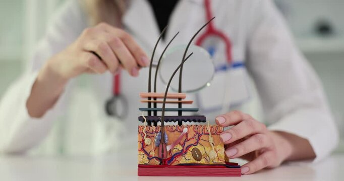 Study of human skin anatomy and magnifying glass