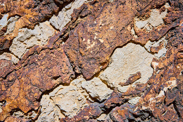 Rugged Earthy Rock Textures Close Up in Natural Daylight