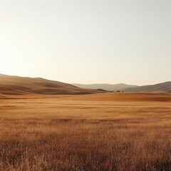 Fototapeta premium Golden field under a clear sky, rolling hills in the distance at sunset.