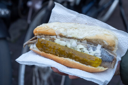 New season of Dutch herring fresh salted fish ready to eat, traditional food in Netherlands, soft bun with herring fillet, onion en picked cucumber