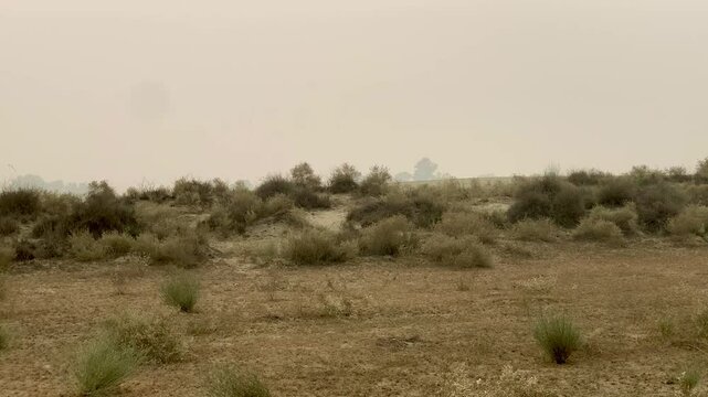 A view a thar pakistan deserted camp. Luxury Desert Camp Outdoor Restaurant Setup. Panning right view of vast and barren land of the Thar Desert, Sindh Pakistan. Beautiful 4K Footage.