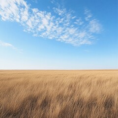 Expansive golden field under a bright blue sky with scattered clouds.
