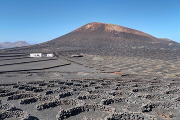 vue aérienne de vignobles et champs cultivés près du parc national des volcans de Timanfaya sur...