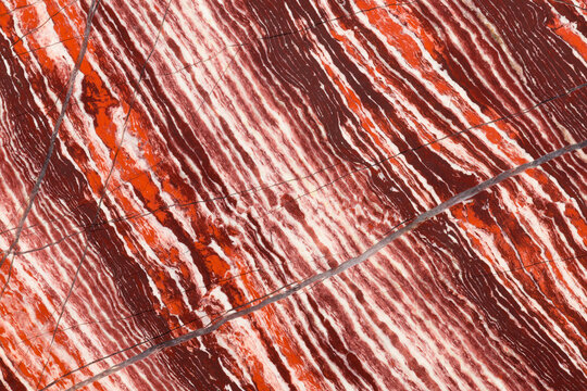 Close-up of polished slab of snakeskin jasper from Western Australia